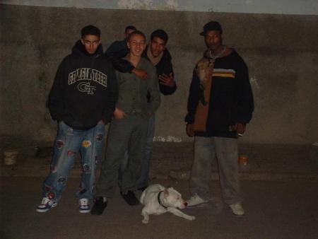 mafia zan